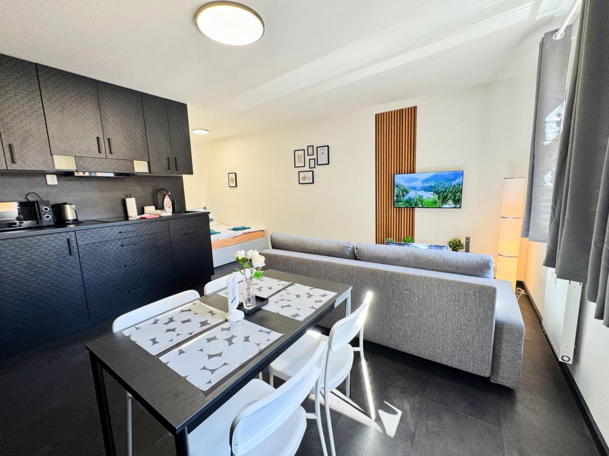 A Comfy In Smichov - Andel